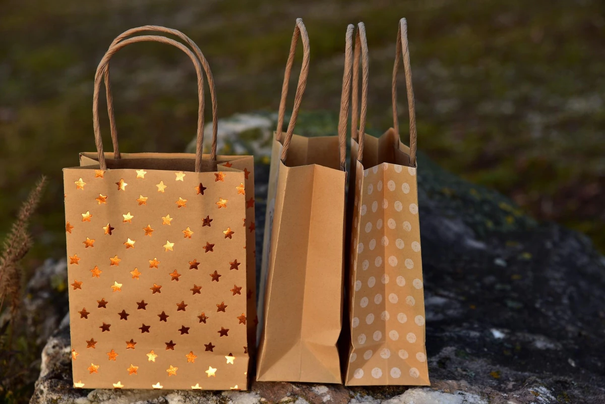 Shopping Bags | Paper Bag Making Machine Manufacturers