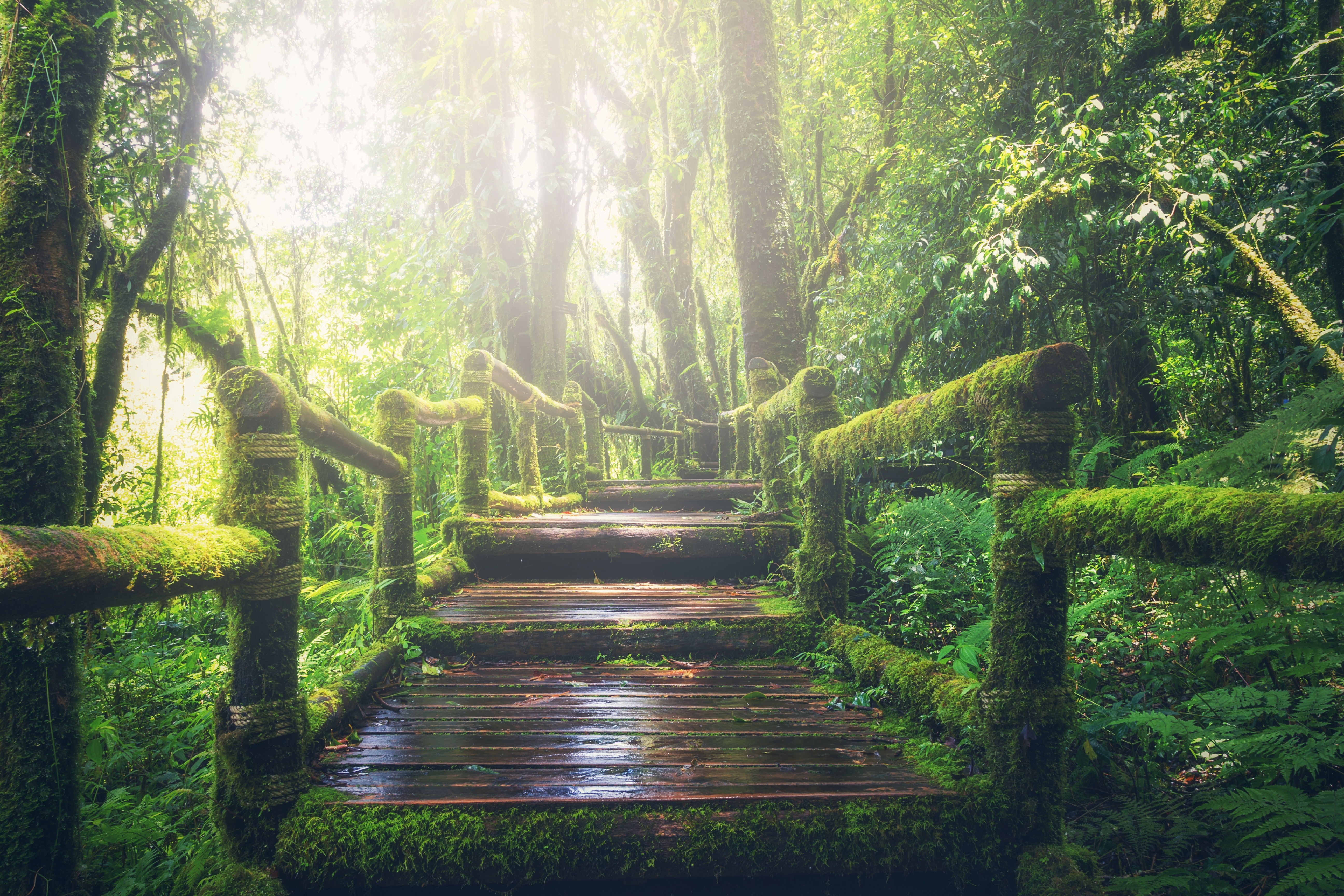 greenery images